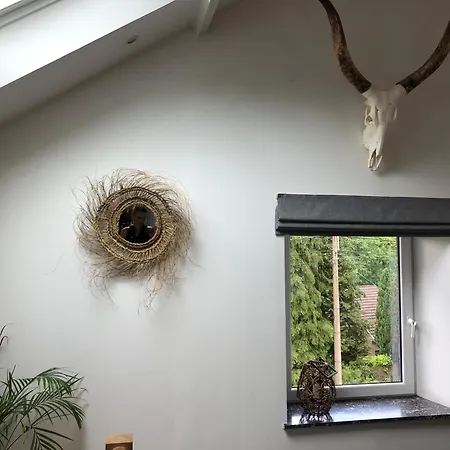 Les Ecuries Homestay Spa